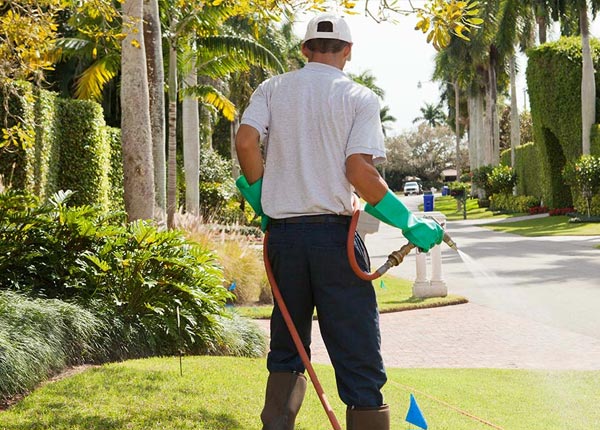 About Ellenburg Center NY Pest Control